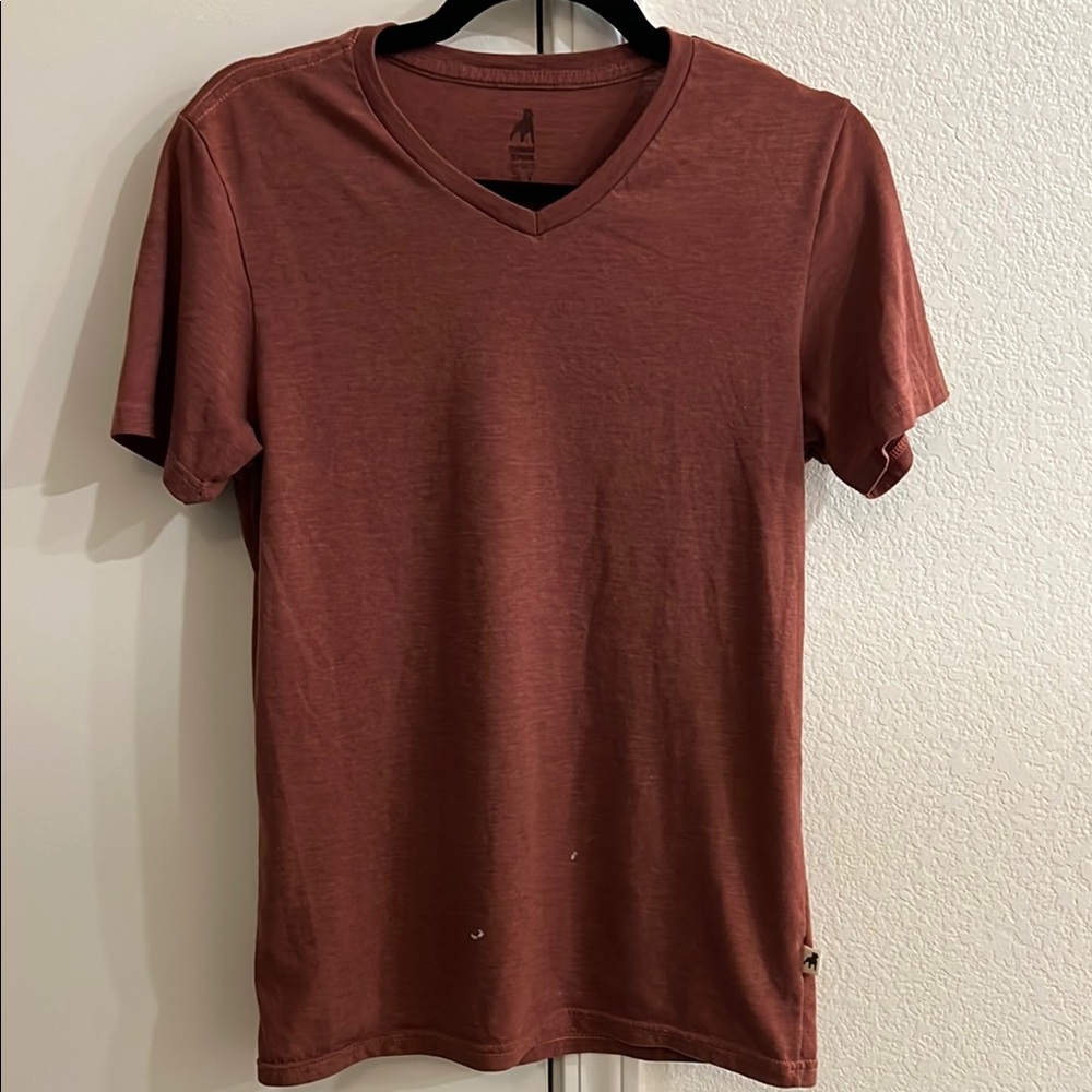 Men's Rust V-Neck T-Shirt